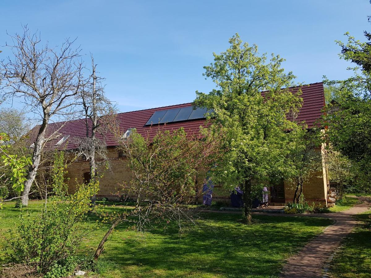 Ferienhaus Auf Dem Hof Lechner Drieschnitz Esterno foto
